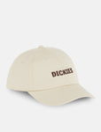 Dickies Hays Cap whitecap gray