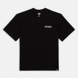 Dickies Beach Tee SS Black