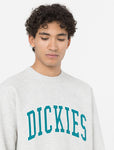 Dickies Aitkin Sweatshirt grey/deep lake