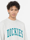 Dickies Aitkin Sweatshirt grey/deep lake
