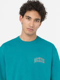Dickies Aitkin Chest Tee deep lake
