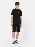 Dickies Kerby T-Shirt black